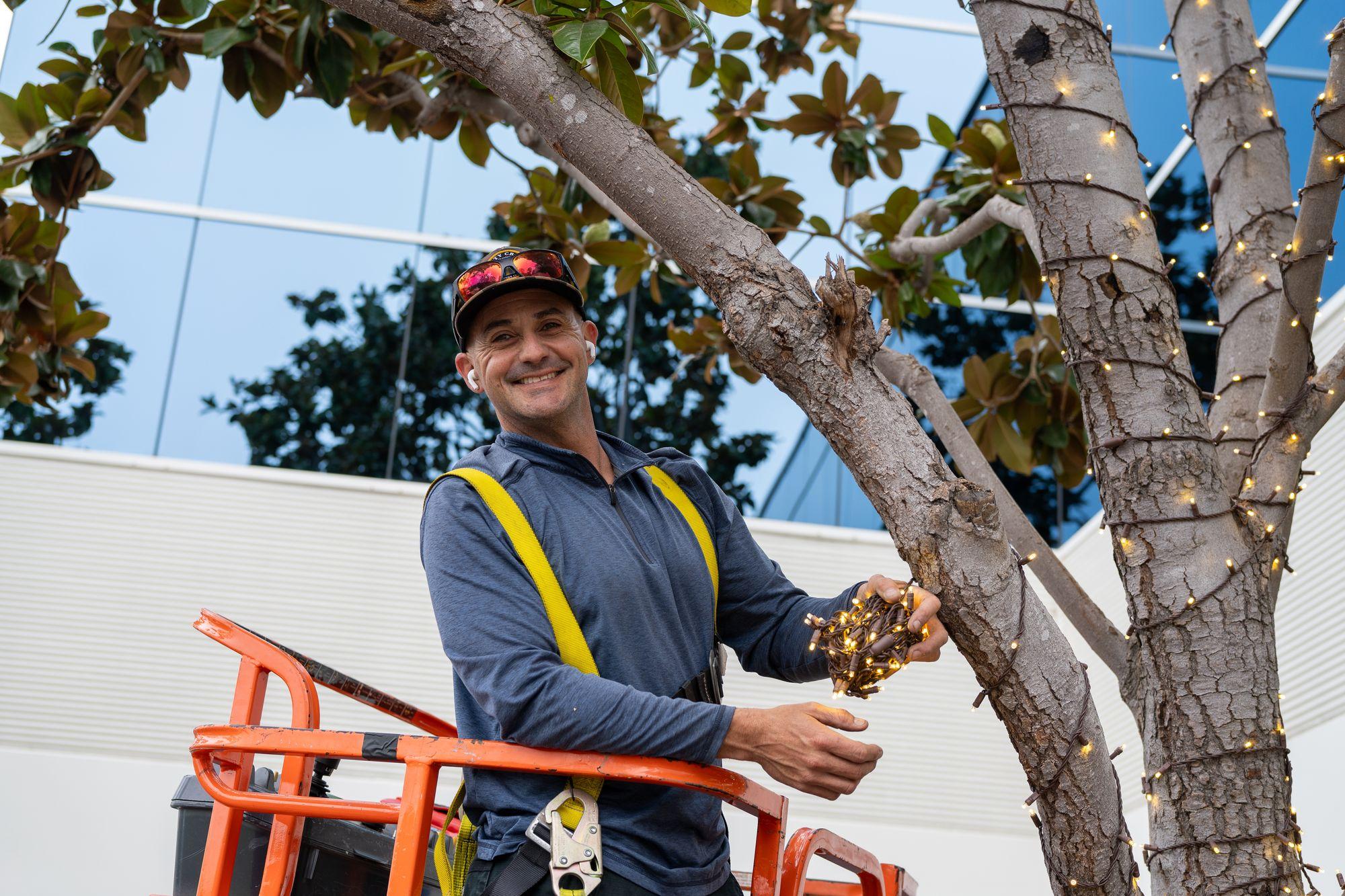 Lloyd smiling in a lift basket with a bundle of light strands, wrapping a tree outside an office building