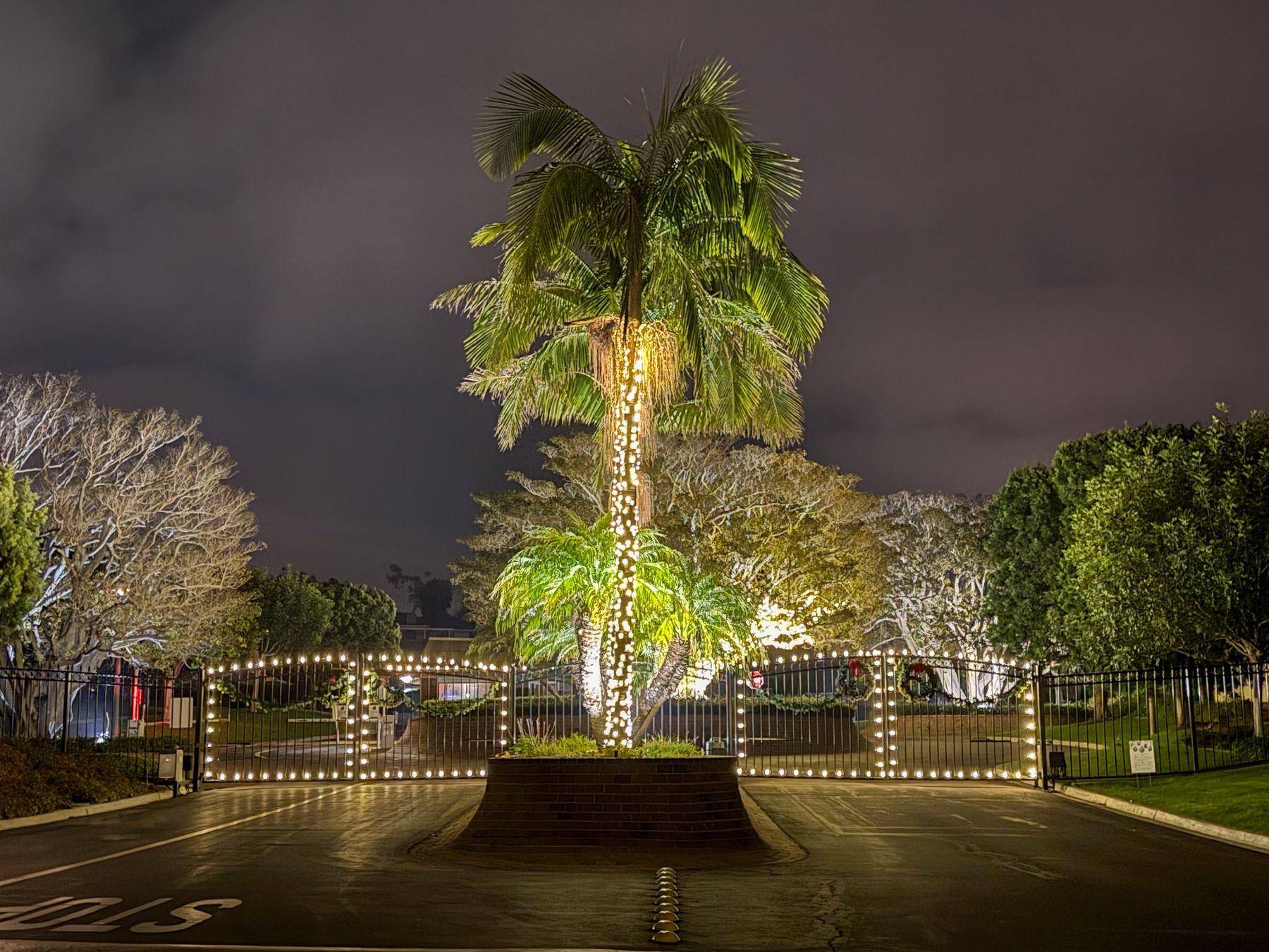 Tall palm and surrounding trees wrapped in warm white lights behind a gated entrance at Jasmine Creek
