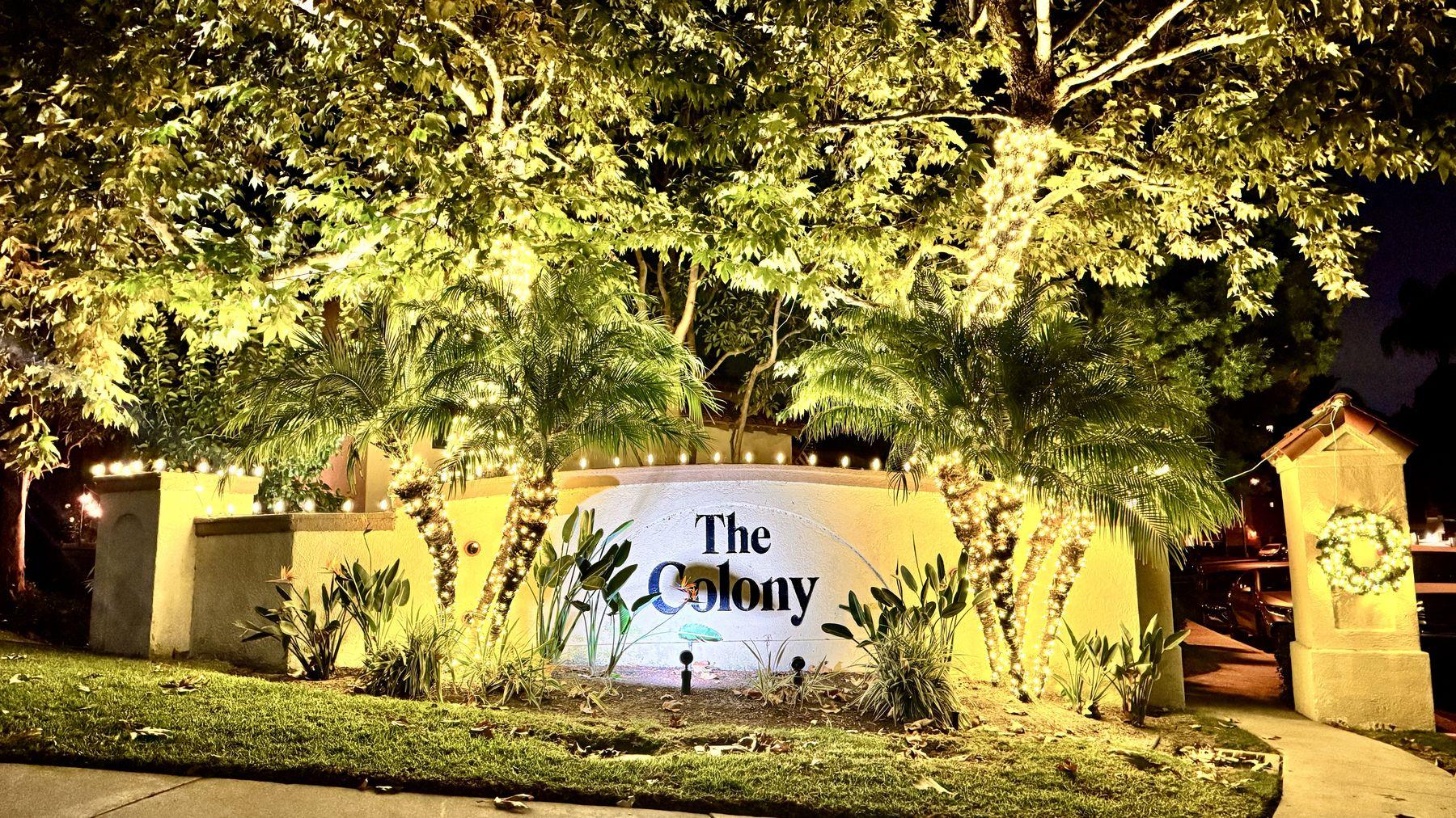The Colony entrance sign under trees and palms lit with warm white lights, with a wreath on the gate pillar