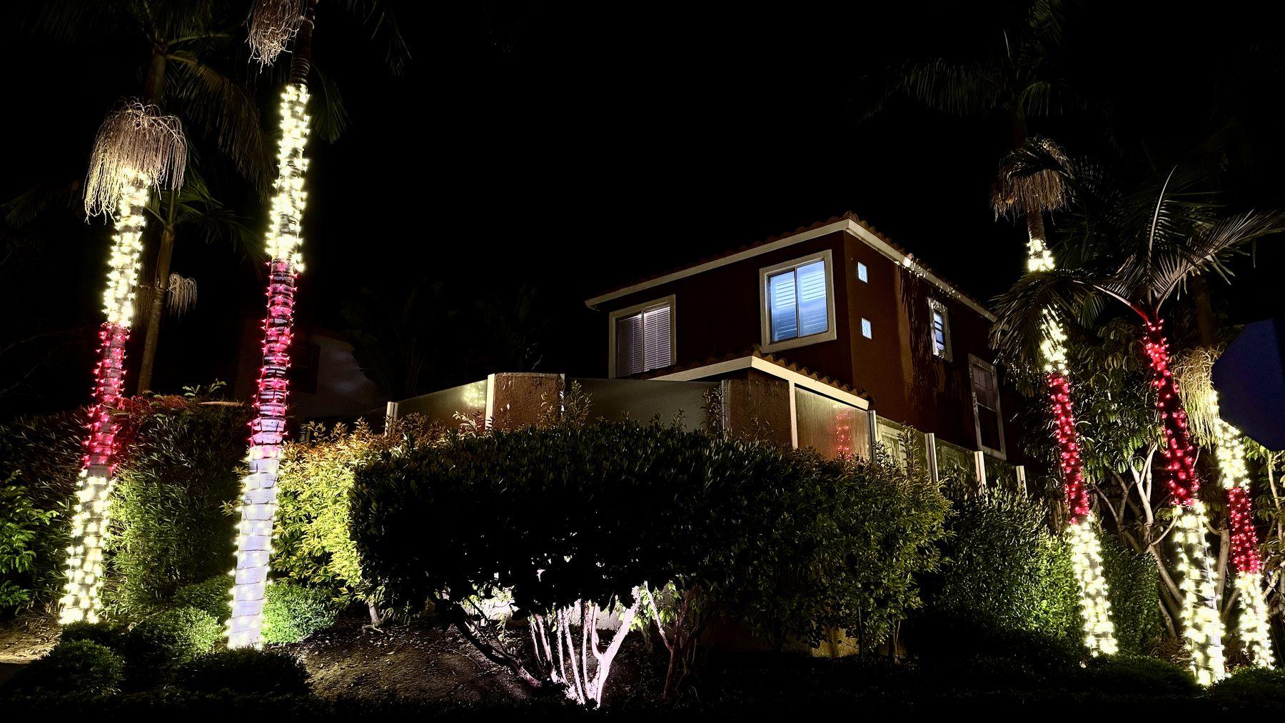 Palm trunks spiral-wrapped in red and white lights in front of homes at Las Flores