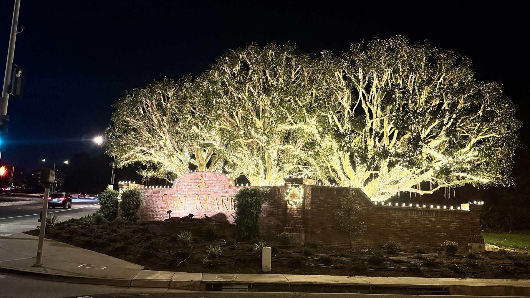Wide canopy of trees wrapped in warm white lights over the San Marin entrance sign