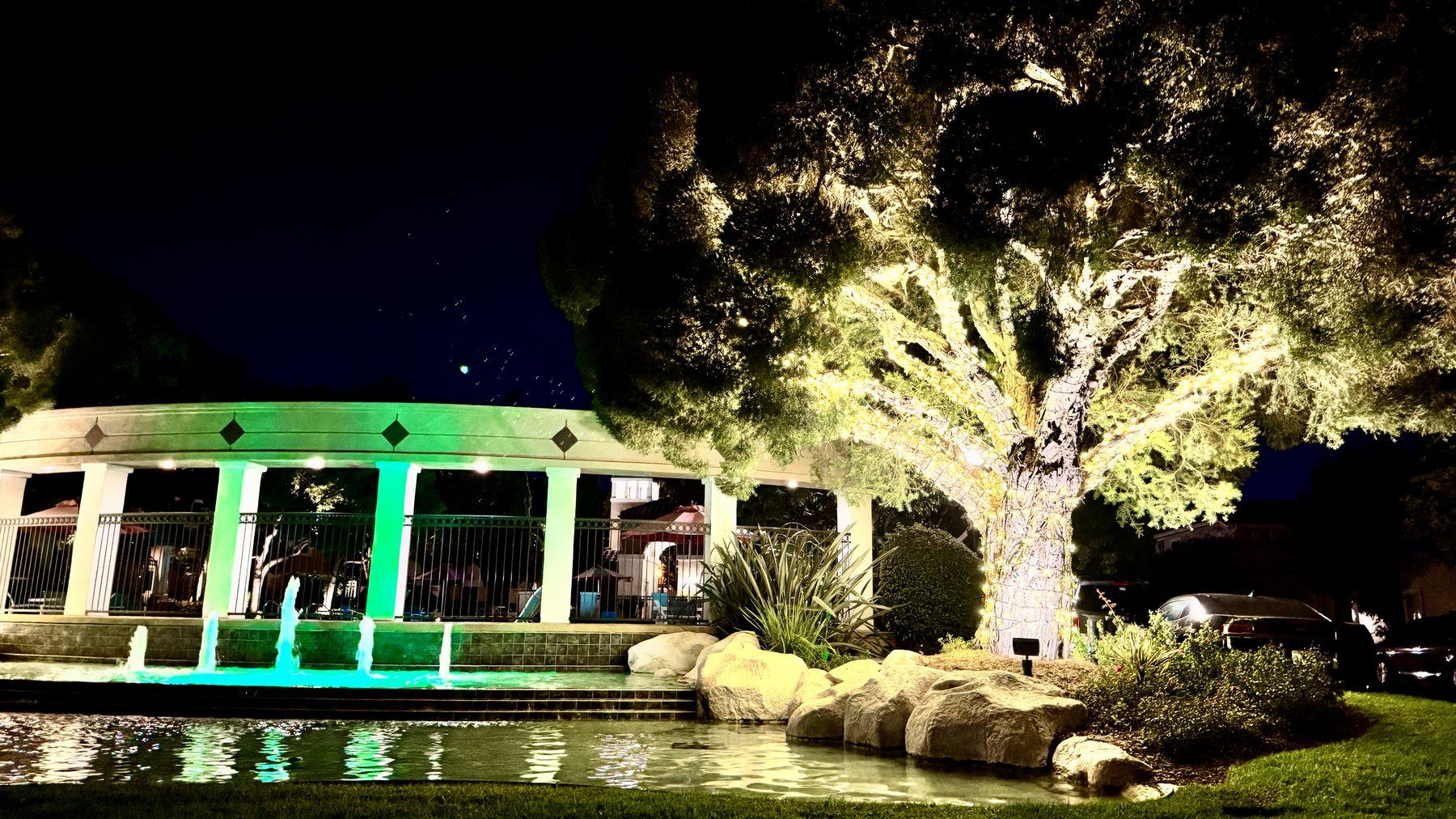 Large tree wrapped in warm white lights beside a pond and a colonnade lit in green at the Tivoli community